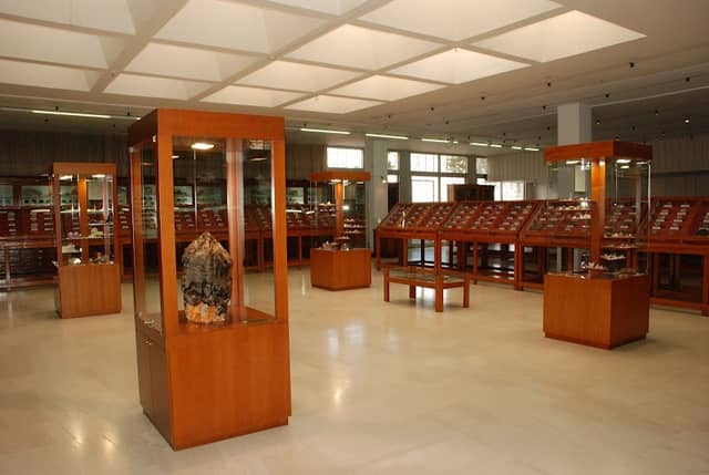 Museum of Mineralogy and Petrology - Image 2