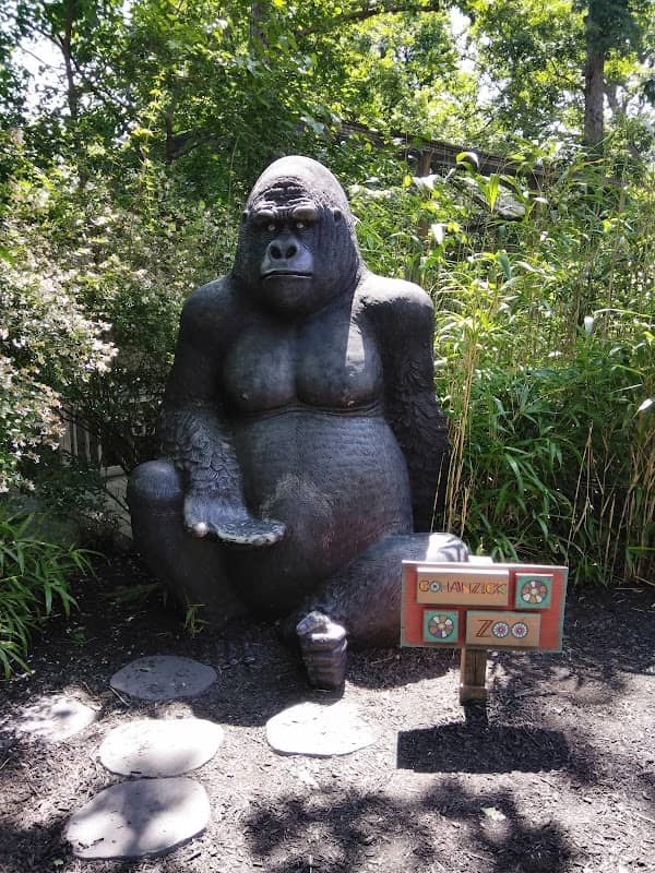 Cohanzick Zoo - Image 2