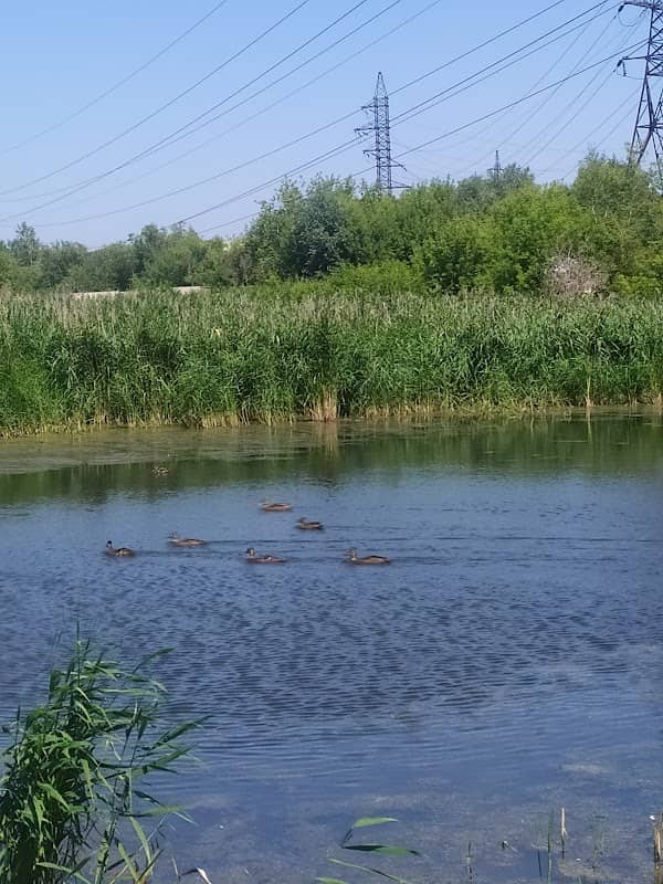 Prud Im. B.n. Yel'tsina - Image 1