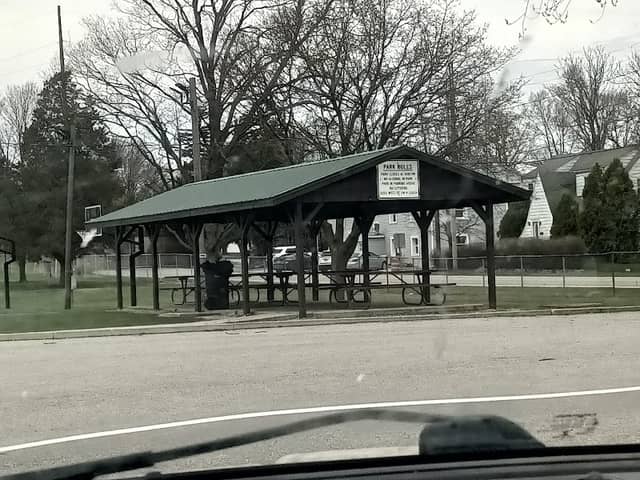 Froggy Park - Image 2