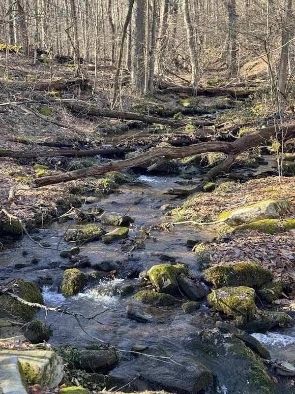 Laurel Highlands Hiking Trail - Rt 30 Trailhead - Image 1