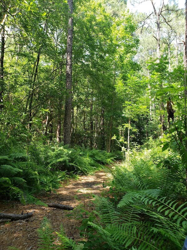 Bluethenthal Wildflower Preserve - Image 2