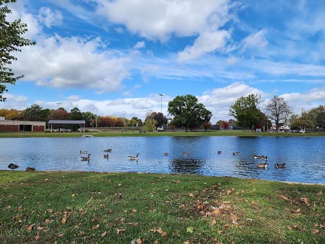 Murphy Park - Image 1