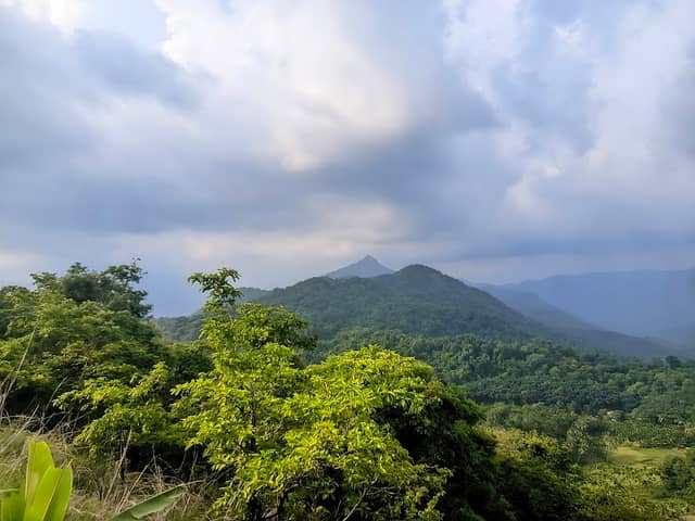 Kalbhare top - Image 1