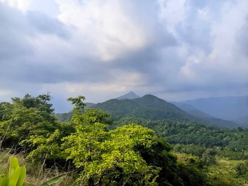 Kalbhare top - Image 1
