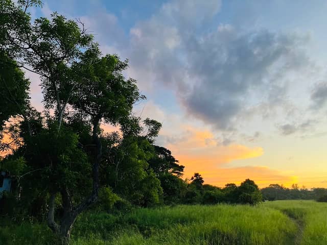 Nuwarawewa Lake View - Image 1