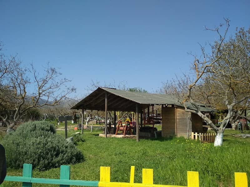 Cultural Park - Image 1