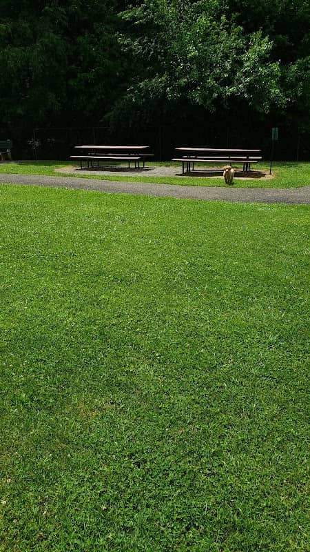 Applewold Green - Image 2