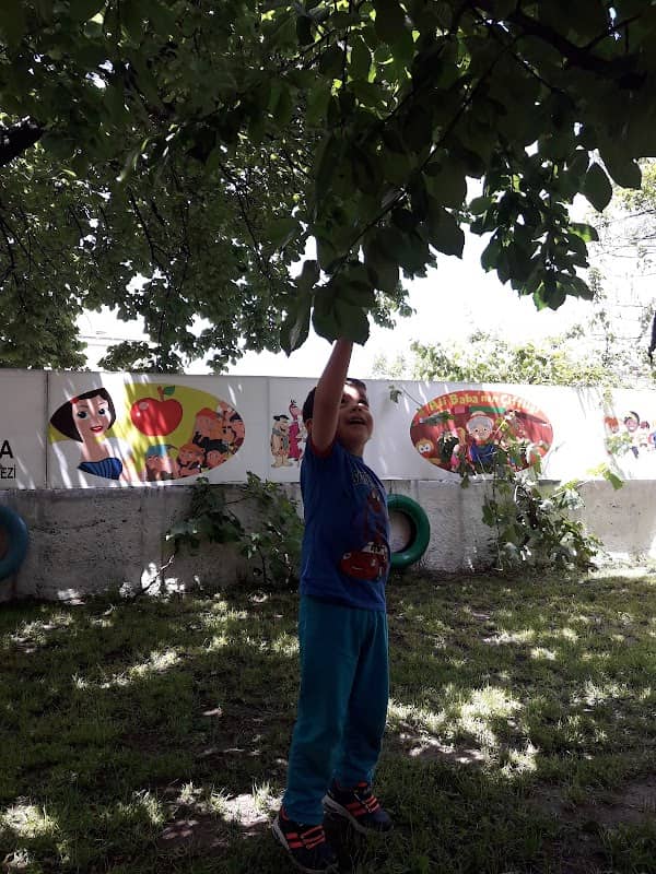 Child park - Image 3