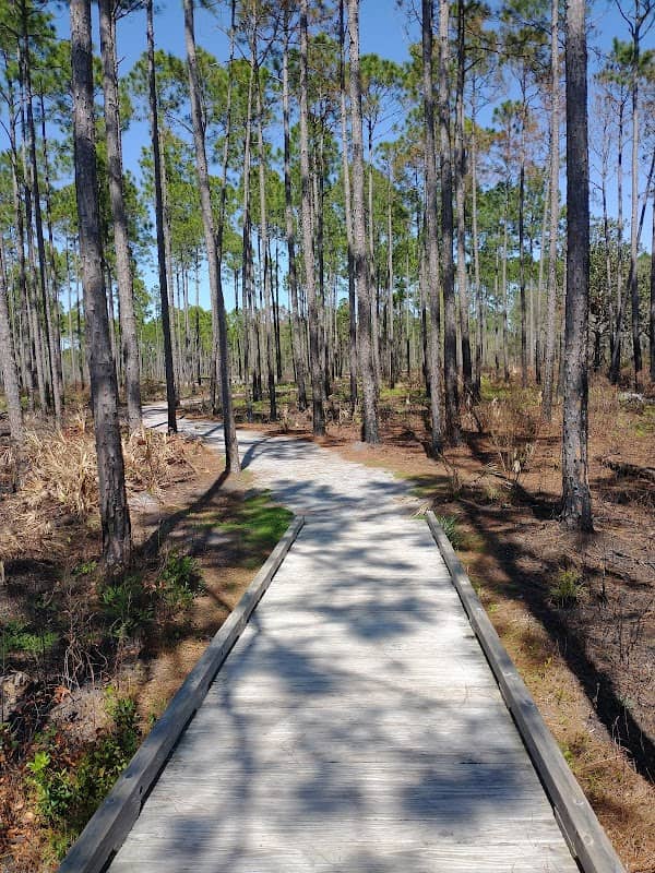 Gayle's Trails - Image 1