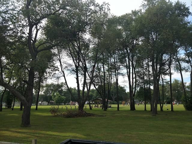 Brittlebank Park - Image 2