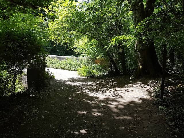 Lower Flexford Nature Reserve - Image 2