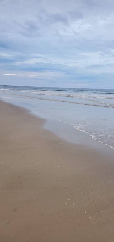 Little Tybee Island - Image 2
