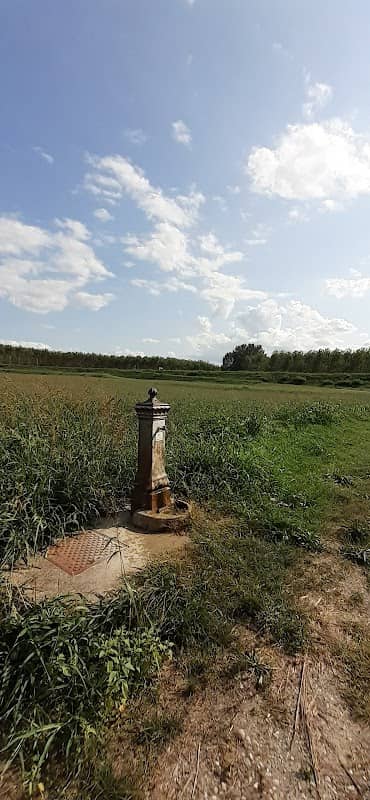 Via Argine Maestro, Agoiolo - Image 2