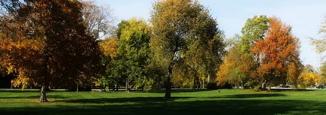 Cherry Tree Park - Image 1