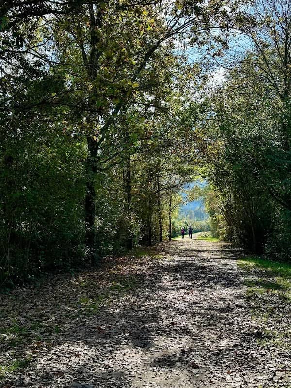 Lago di Fimon - Image 1