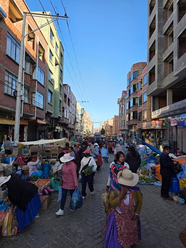 Alpaca Steps – Cultural Walking Tours in La Paz - Image 2