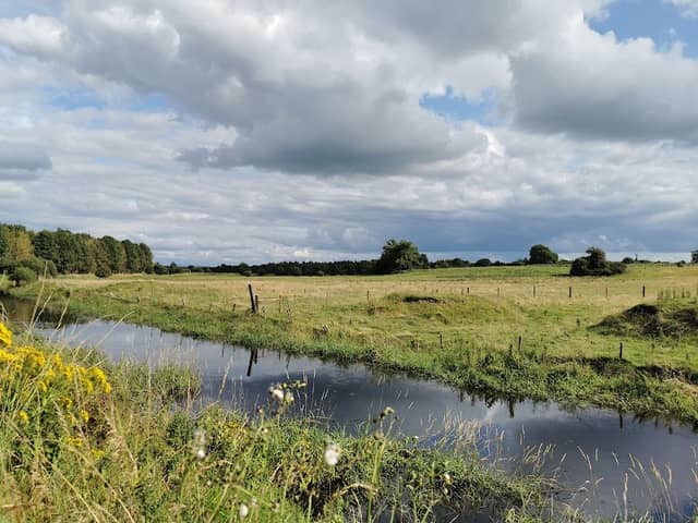 An Choill Thóireasa - Image 1