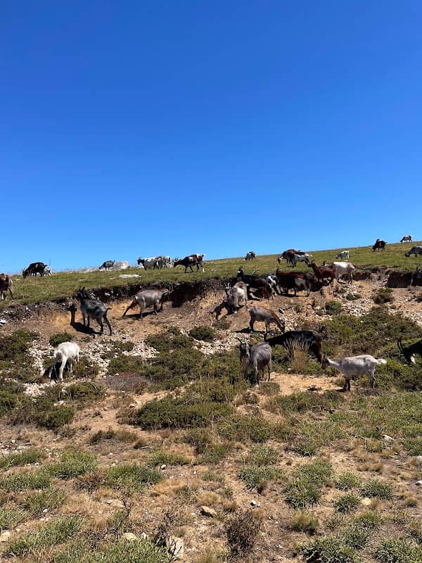 Serra Da Freita - Image 3
