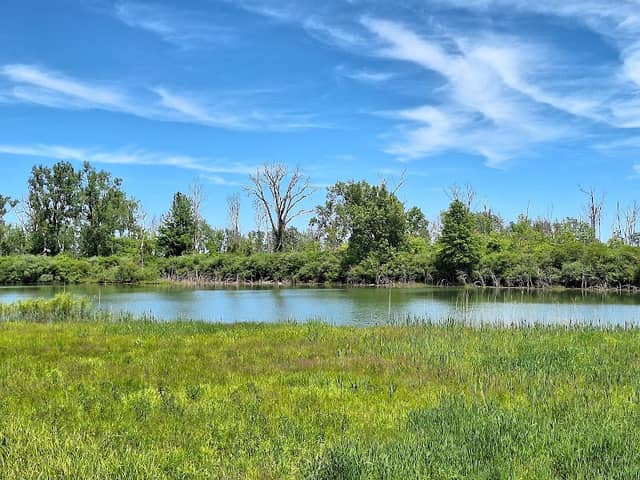Maumee Bay State Park Nature Center - Image 3