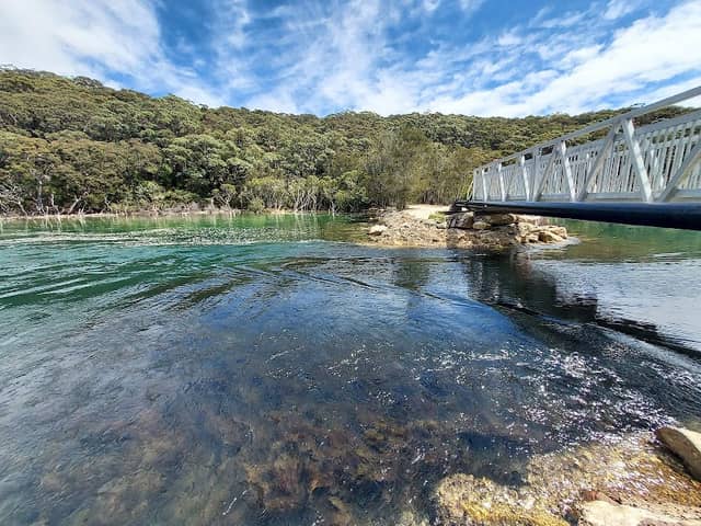 Cabbage Tree Basin Lookout - Image 1