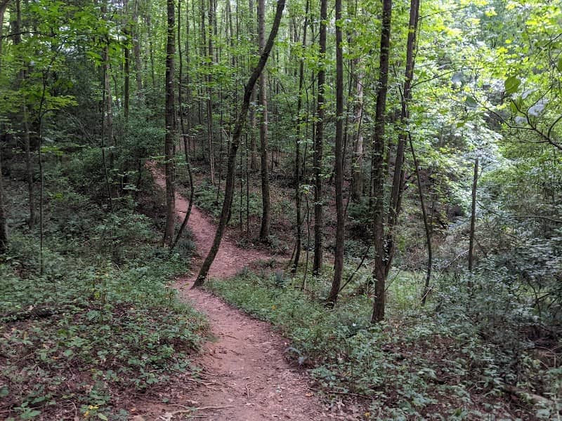 Blackberry Mountain Clear Creek Trail Head - Image 2