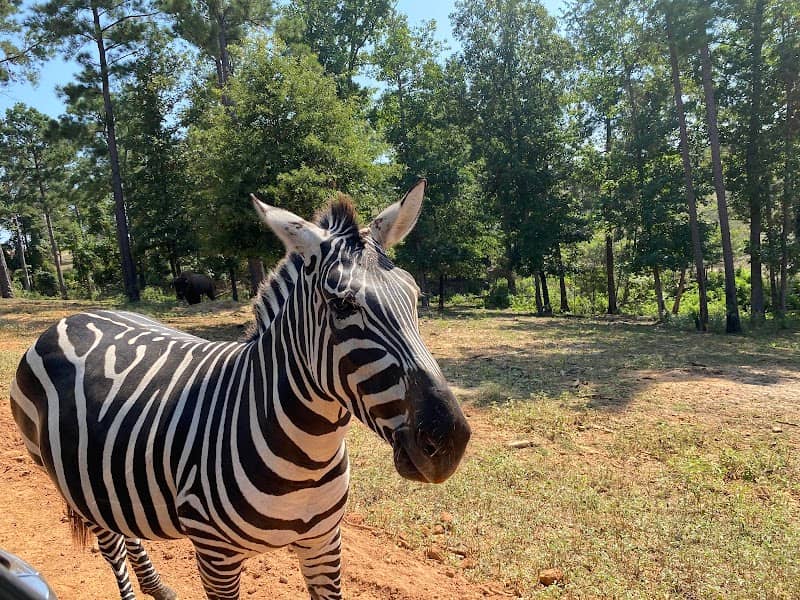 Busy B Ranch Wildlife Park, LLC - Image 1
