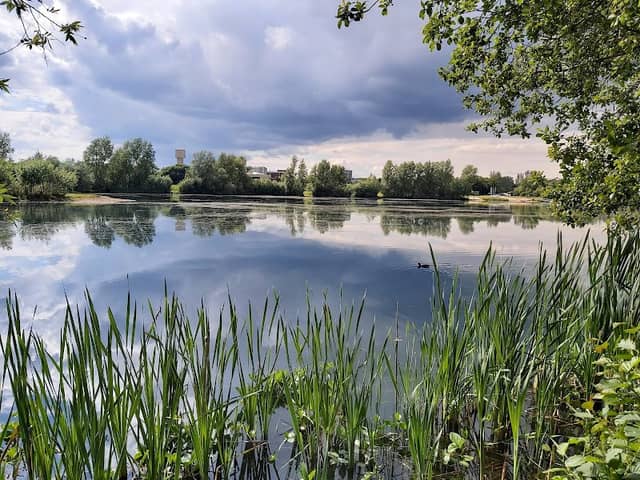 Conningbrook Lakes Country Park - Image 2