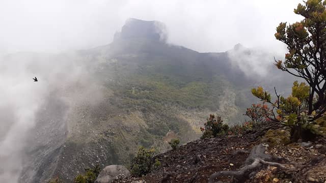 MT. Gede - Image 2