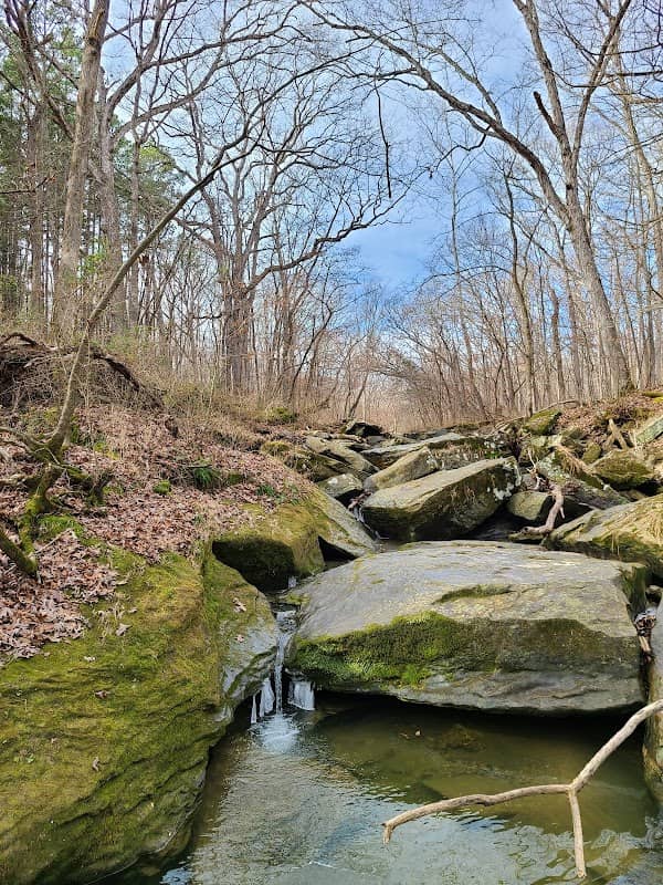 Randolph County State Conservation Area - Image 1