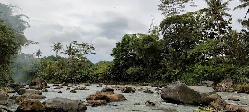 Habitat filosofi alam - Image 2