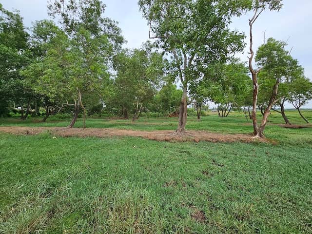 Vellayani Biodiversity and Bird Watching Area - Image 2