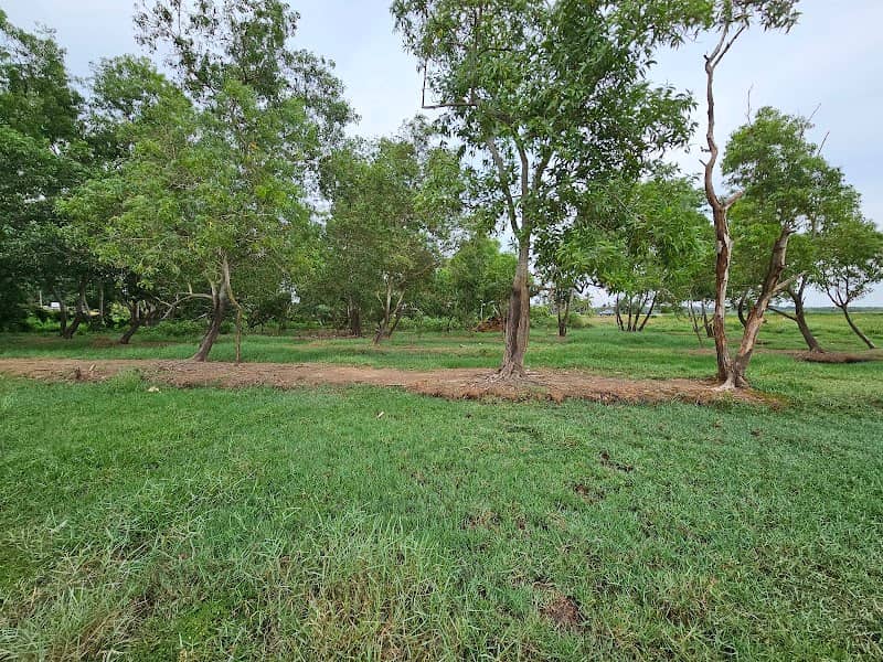 Vellayani Biodiversity and Bird Watching Area - Image 2