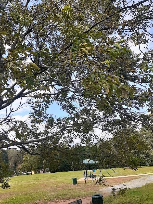 Lake City Community Park - Image 2
