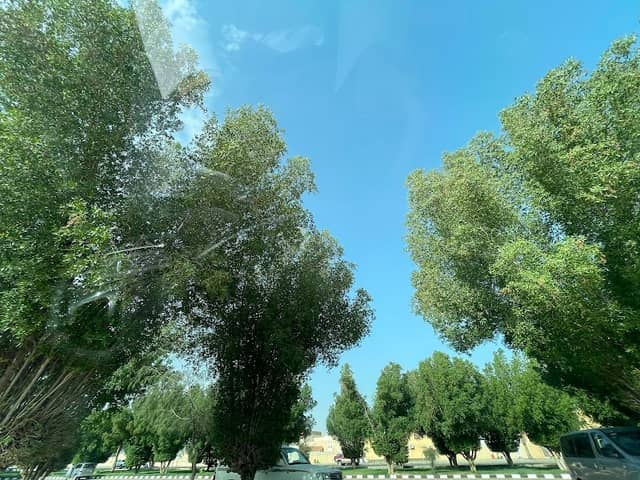 حديقة - Image 2