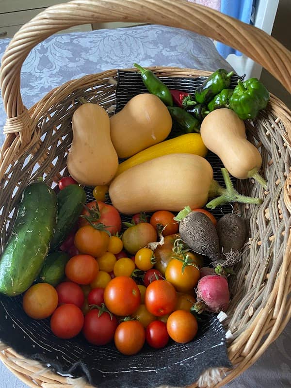 Alsager Road Allotments - Image 1