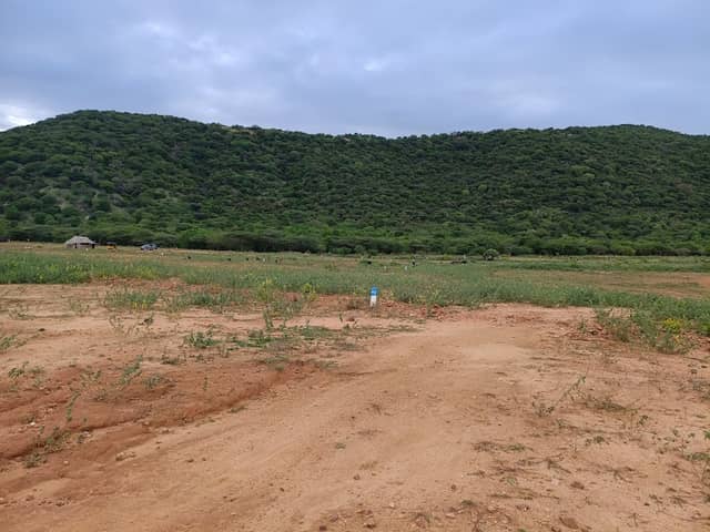 Kallalagar Garden - Image 1