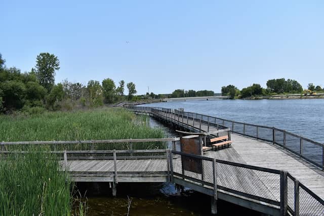 Muskegon Lake Nature Preserve - Image 1