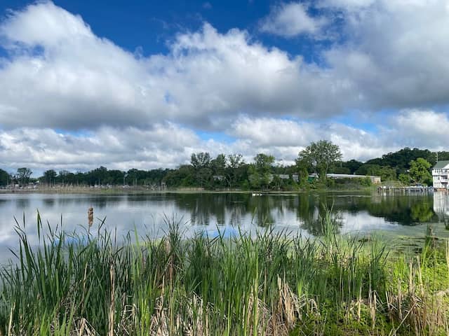 Muskegon Lake Nature Preserve - Image 3