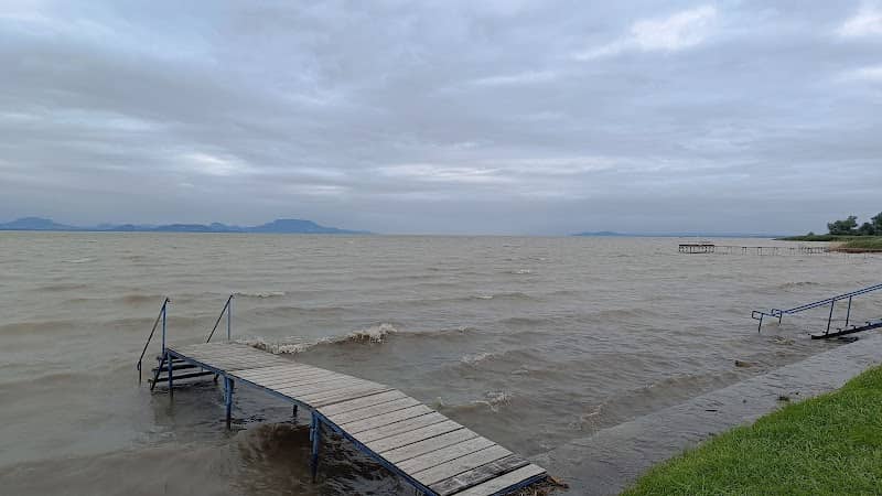 Irányfa - Image 1