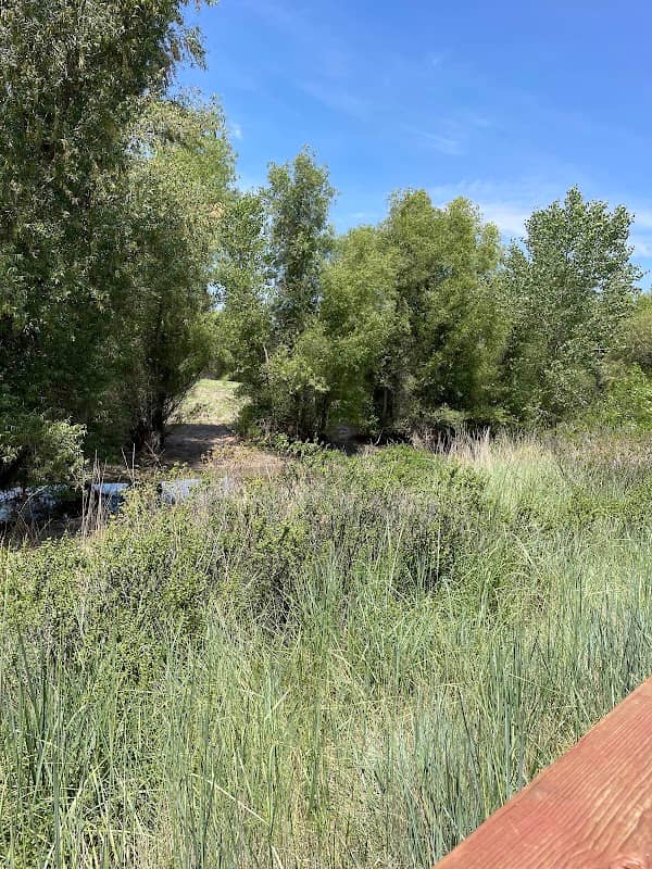West Pond - Image 3
