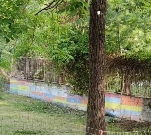 Murale Bandiere della Pace - Image 1