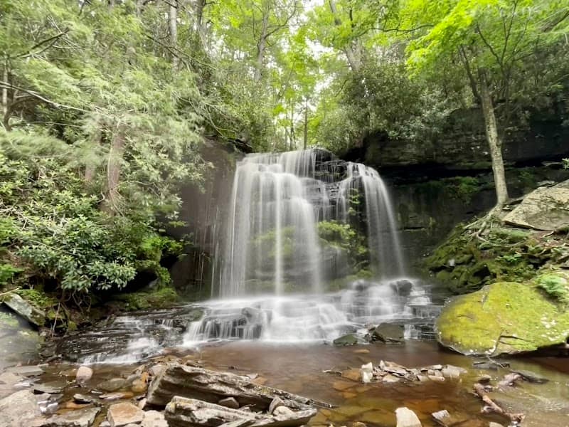 Neversink River Unique Area - Image 1