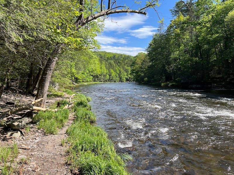 Neversink River Unique Area - Image 2