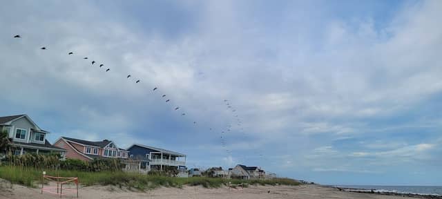 Beach Access 20 - Image 3