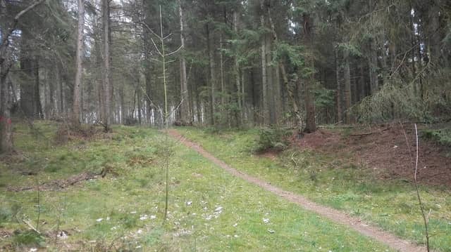 Gasterscheholt - Image 1