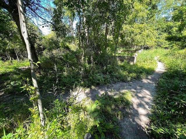 Foundation Trail Loop (2021) - Image 2
