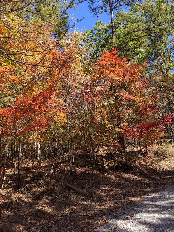 Jacks River Trail - Western Trailhead - Image 2