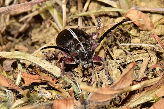 Sandwiesen Vogelwarte Mensch & Natur ERLebensraum - Image 1