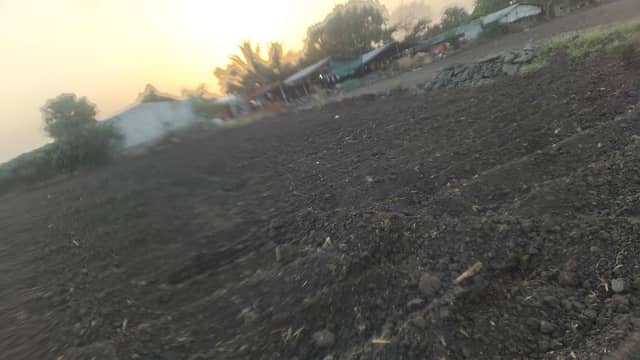 Sanjay Deshmukh farm suregaon sinnar - Image 1